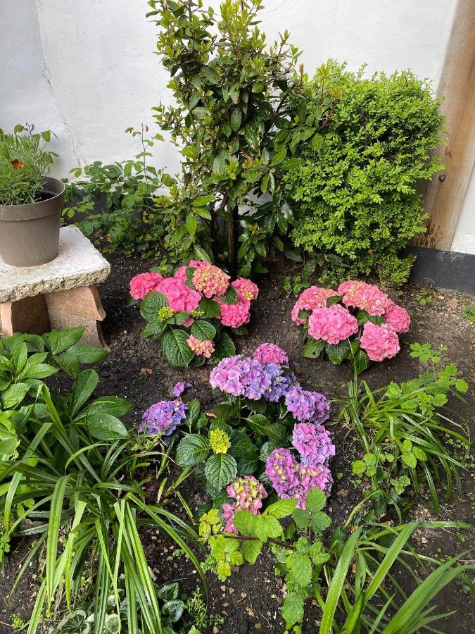 Appartement Vivier 4 Personnes Tout Confort Boulogne-sur-Mer Exterior photo